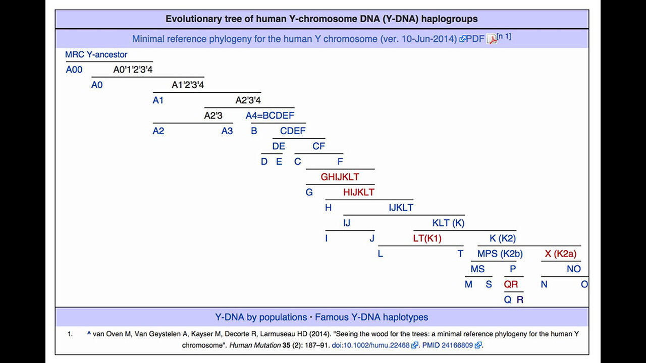 ADAM OF THE BIBLE AND THE HAPLOGROUPS A4-BT AND A-00 , VIDEO 2 OF 12 ON HAPLOGENETIC
