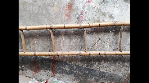 Bamboo Ladder