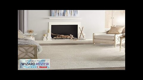 Nourison Essentials Indoor/Outdoor Ivory Beige 8' x 10' Area Rug Easy Cleaning Review