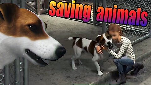 I will save every animal - ANIMAL SHELTER SIMULATOR