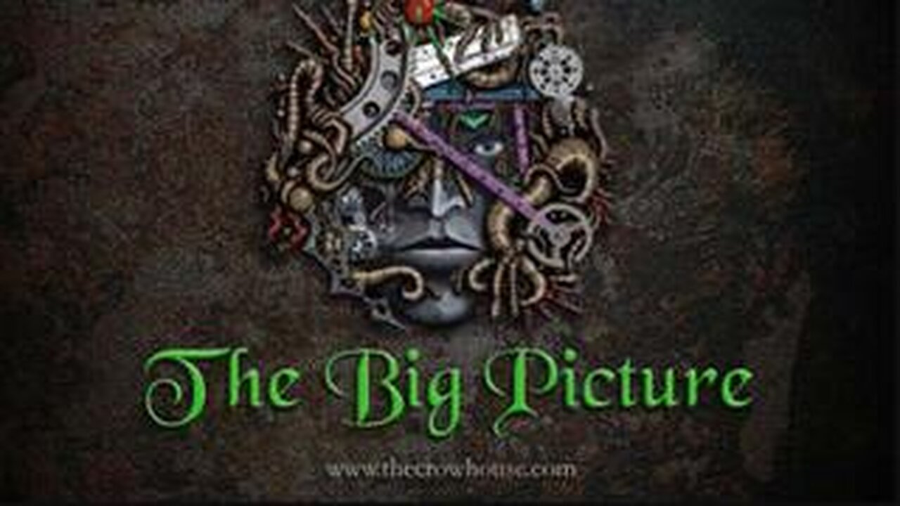 The Big Picture (2008) by Max Igan