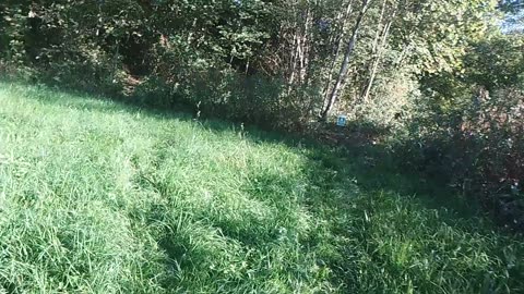 Der Weg zur Traun