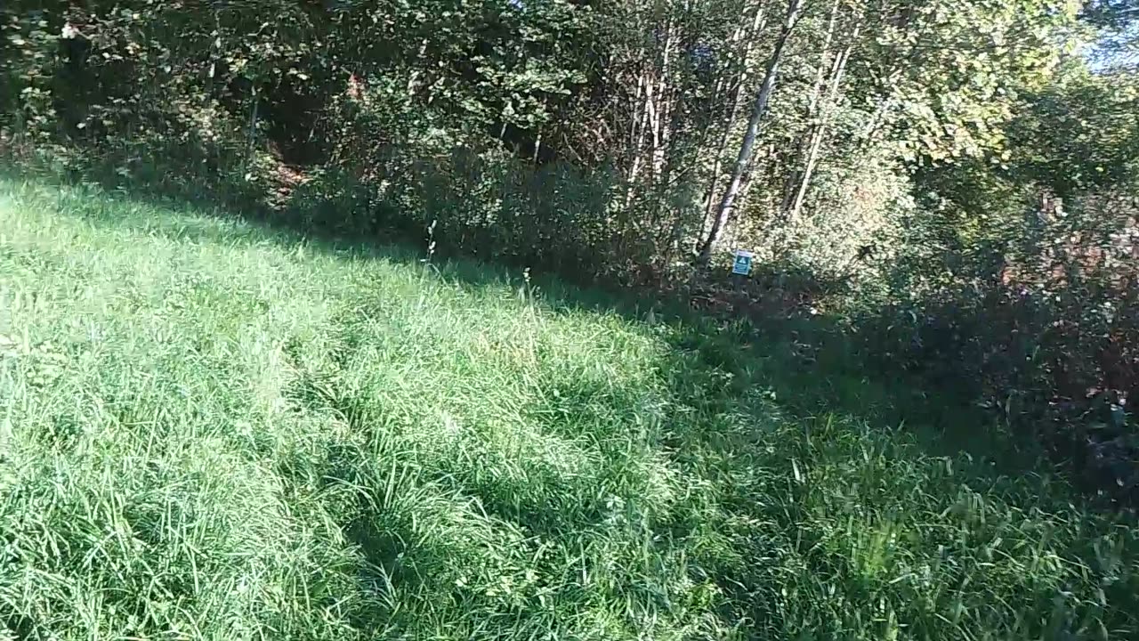 Der Weg zur Traun