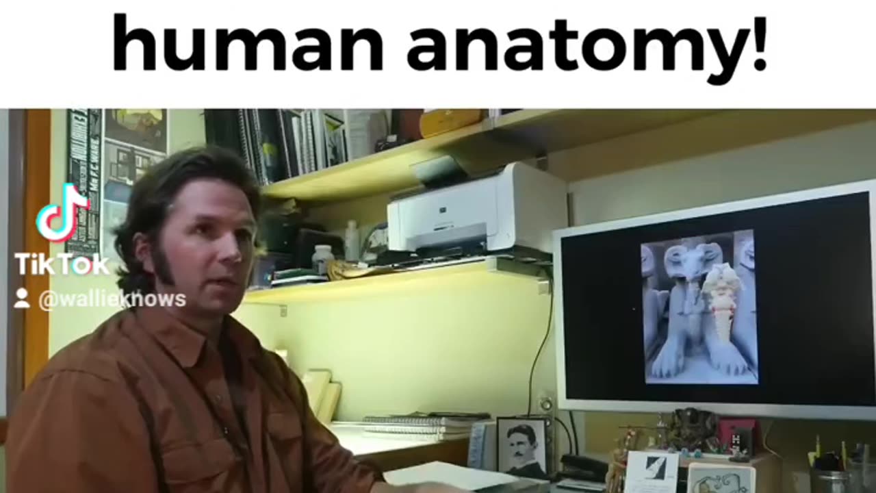 Ancient Egyptian sculptures replicate human anatomy