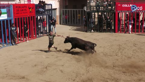 VACAS MAÑANA 4oct - FESTES DEL ROSER 2025