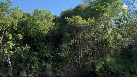 Enjoying the weather on the river.