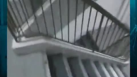 ⚠️😱 First Thing You'd Do When Faced With Horror... Wait For It! | TheHauntingHour