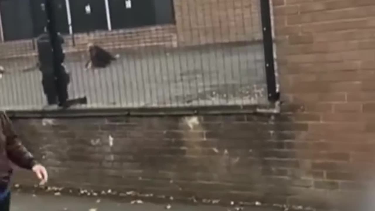 machester
