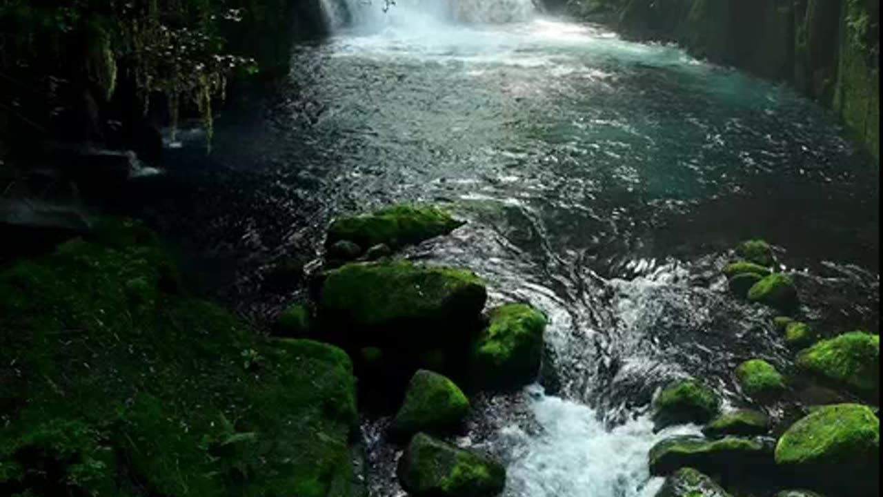 CRIAÇAO DE VIDEOS 8