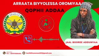 Qophii Addaa ONM-ABO Onkoloolessa 1-2025 itti dhiyaadhaa!