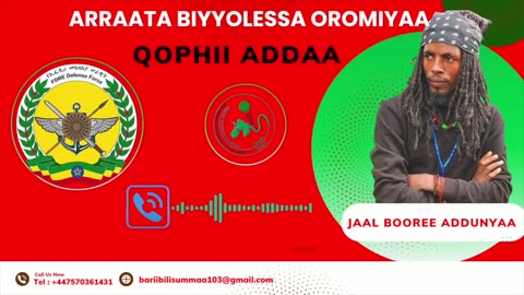 Qophii Addaa ONM-ABO Onkoloolessa 1-2025 itti dhiyaadhaa!