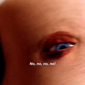 The New Homeowner – Two Weeks Later