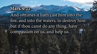 Pioneer Channel LIVE