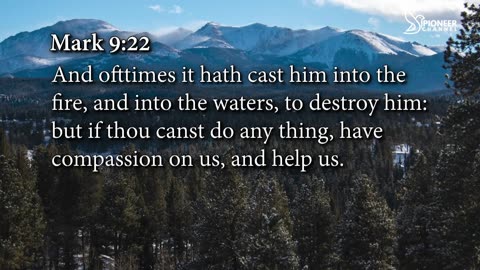 Pioneer Channel LIVE