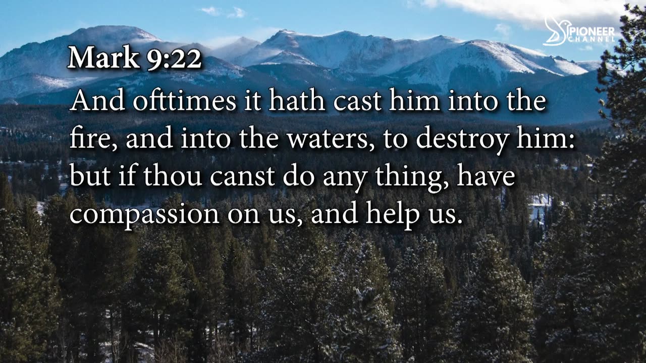 Pioneer Channel LIVE