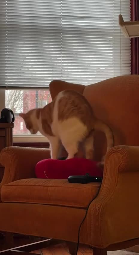 Learning proper massage techniques 🤣