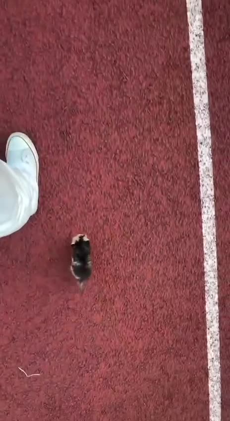 When I was young and trying to catch up to my parents