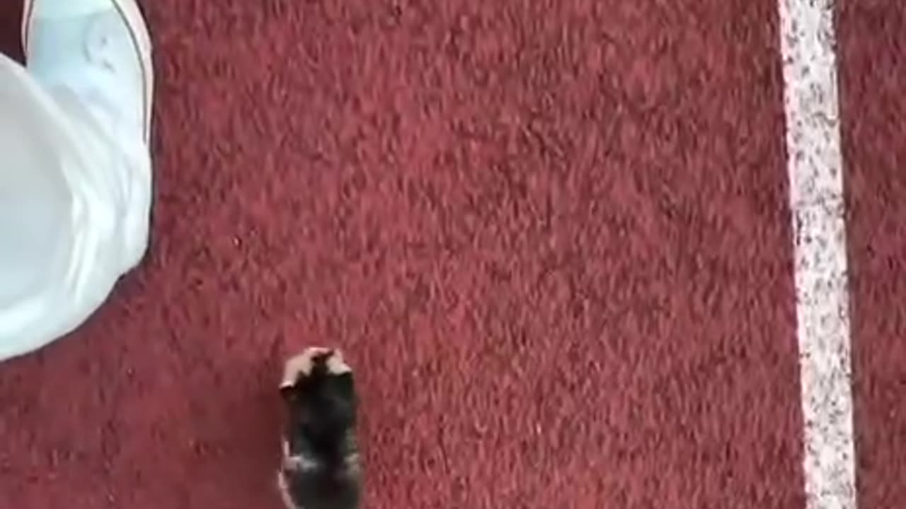 When I was young and trying to catch up to my parents