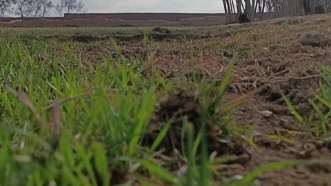 Scenes of Rainfall in Sunny Weather – A Blend of Sunlight and Raindrops