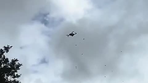 🚁😲 Watch as Wasps Take Down a Drone in an Epic Showdown! | FeedMyCuriosity