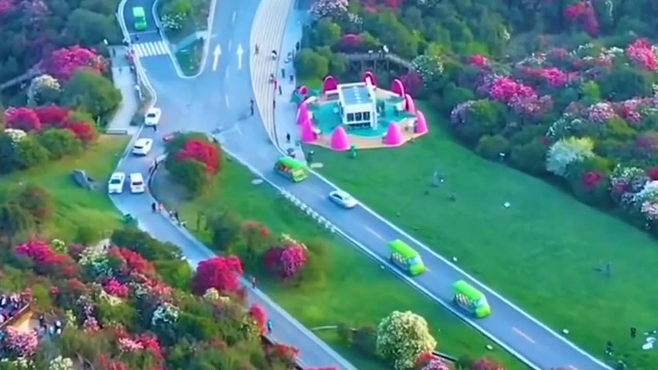 "🌸 दुनिया का सबसे खूबसूरत फूलों वाला रास्ता | Nature’s Heaven Road 🌿✨"