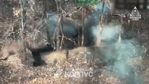 Third Army Corps' Kamikaze Drones Successfully "Unpack" Enemy Shelters and Hunt