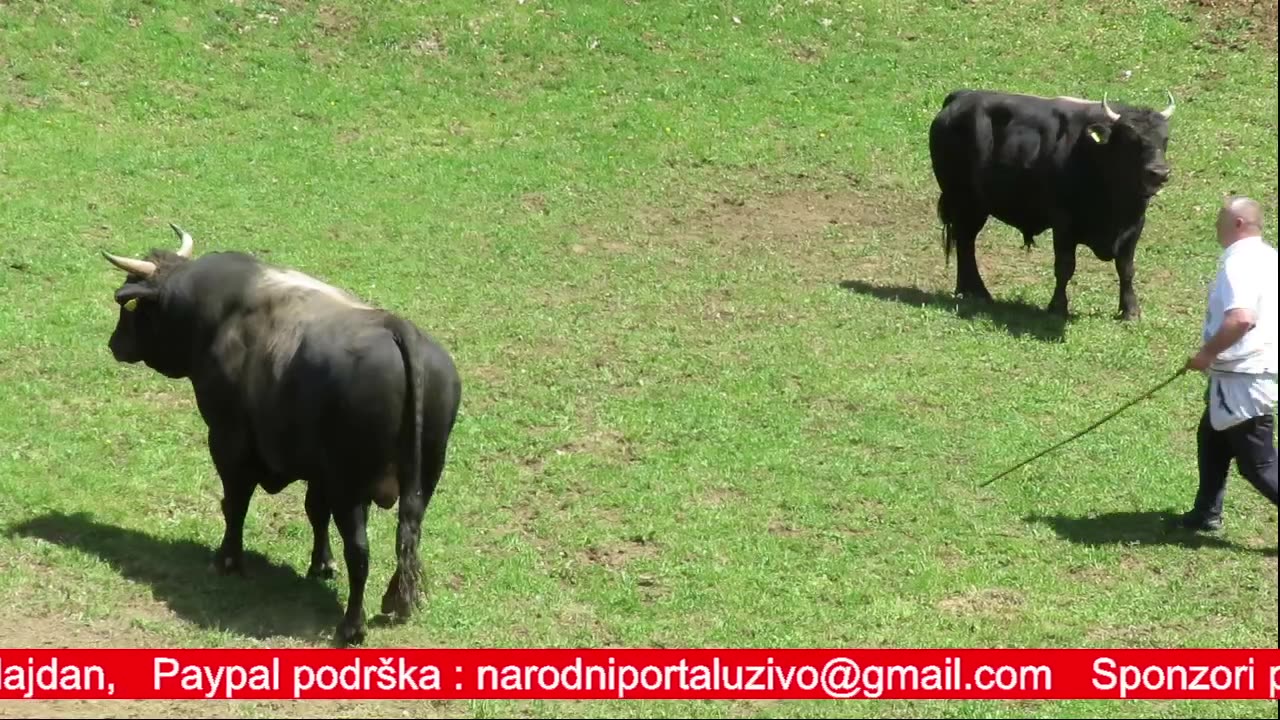 BiH i HR koride 2025