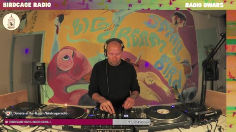 Peter Laser - RD X Birdcage Radio #2