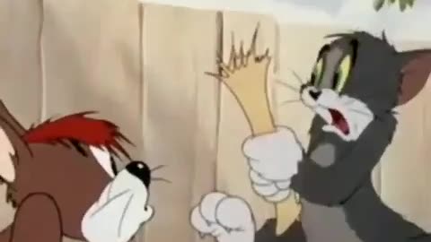 "Tom vs Jerry: Epic Chase Showdown - Hilarious Cartoon Moments!"