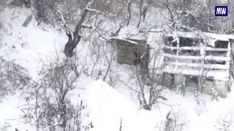 Destruction of Ukrainian Forces in Kupyansk District