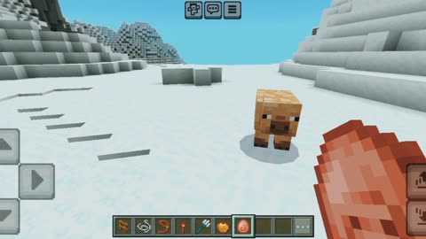 New pigs in Minecraft Game