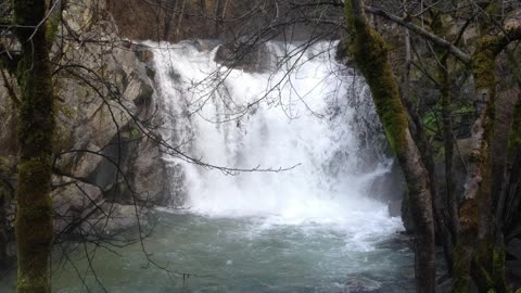 Pictures of Northern California-Shasta County