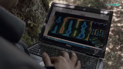 📢آغاز اکران "رویاباف و قاضی" در هاشور