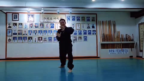 Hapkido