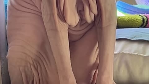 Wrinkly Benji Might Need Kitty Brassiere