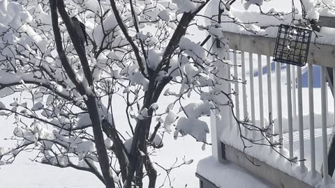 Making better choices