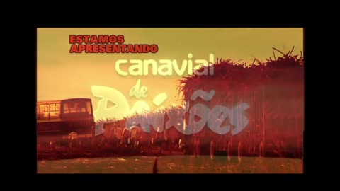 Canavial de Paixões Capítulo 80