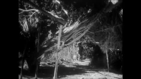 The Adventures of Robinson Crusoe (1964) (13 Episode Mini-Series) (Part 1 of 2)