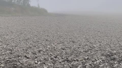 It Looks Like Something From An Alien Planet