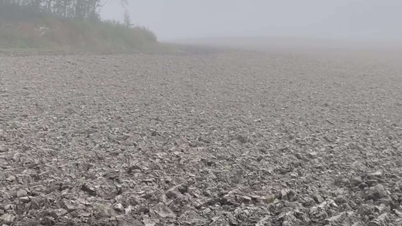 It Looks Like Something From An Alien Planet