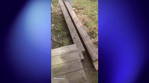 Just Working In The Shop