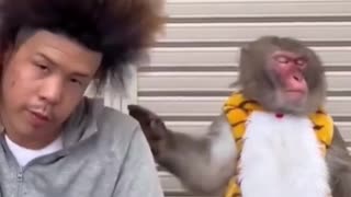 This monkey had never seen his owner without a hat before. Watch his reaction when he finally did!