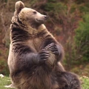 How to treat your lower back pain 😊