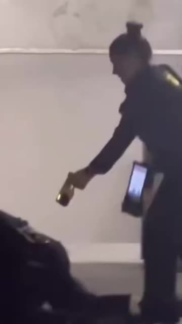 San Mateo CA police officer accidentally tases her own partner during an arrest