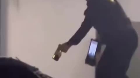 San Mateo CA police officer accidentally tases her own partner during an arrest