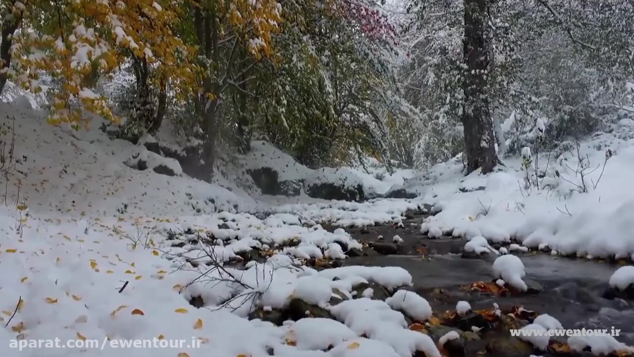 snow party on