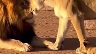 Strong men need strong women