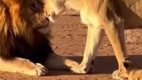 Strong men need strong women