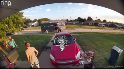 Owner catches Amazon driver pepper spraying his dog, Instant Karma
