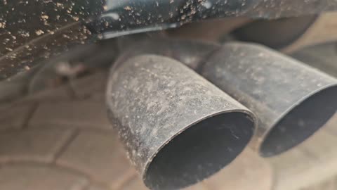 Honda Beat Exhaust Sound - First Start of 2025